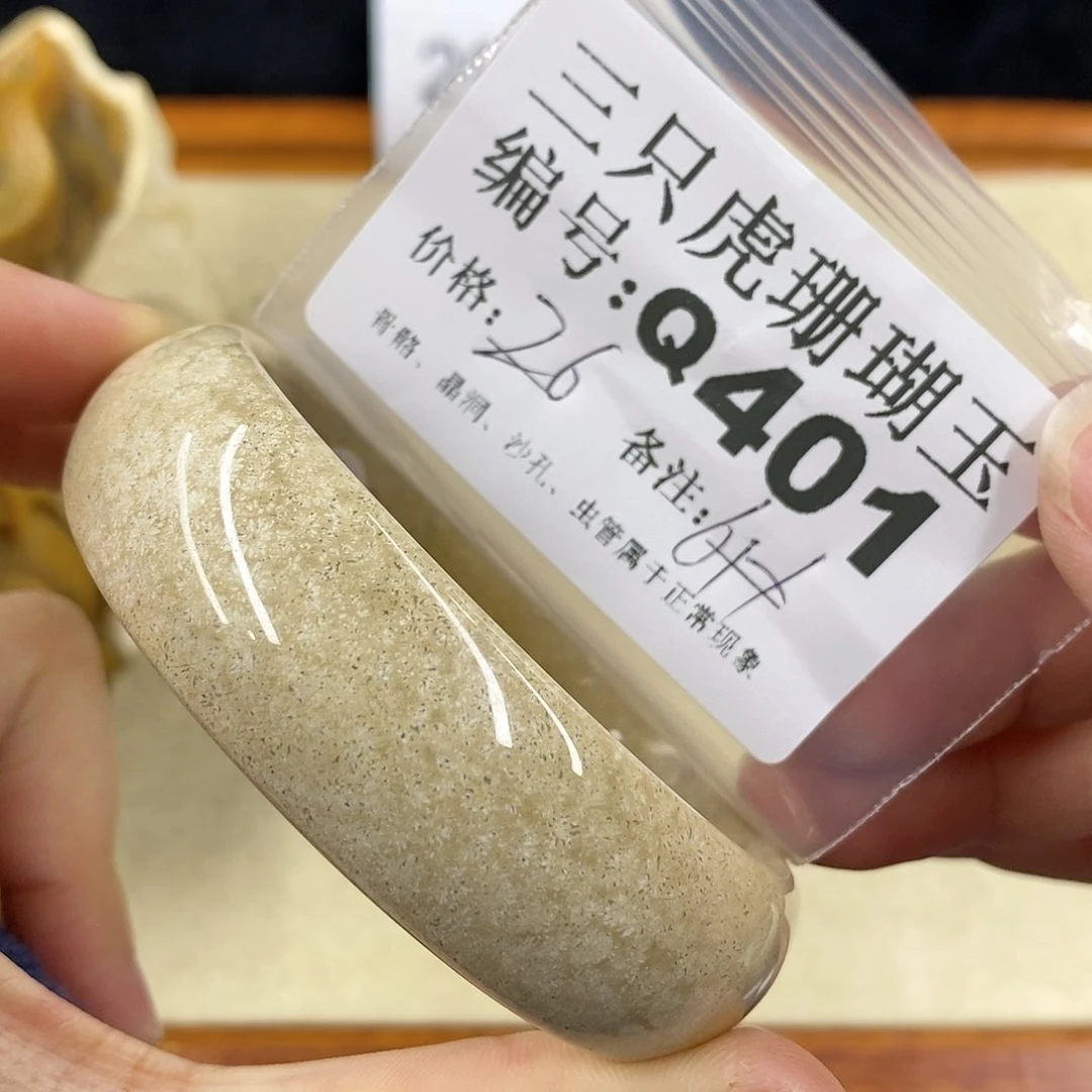 硅化珊瑚（珊瑚玉）1未镶嵌石*道