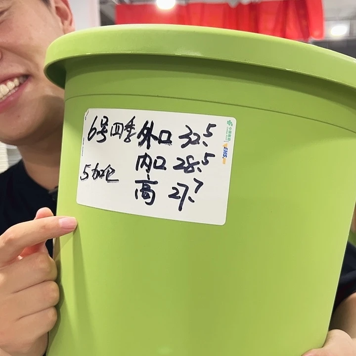 特价6号口32高27.7白色带托5只