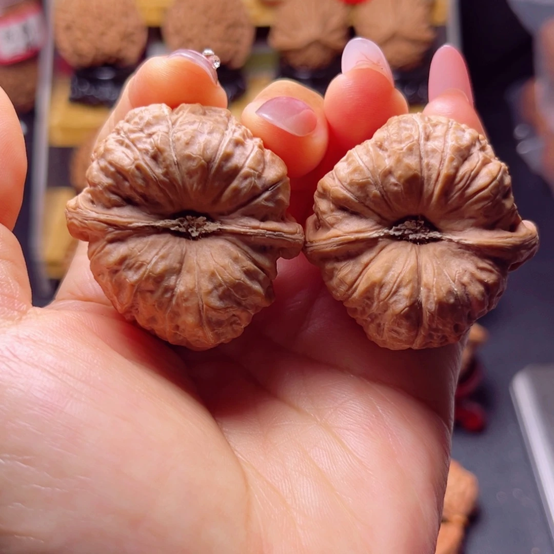木质类无药丑南瓜