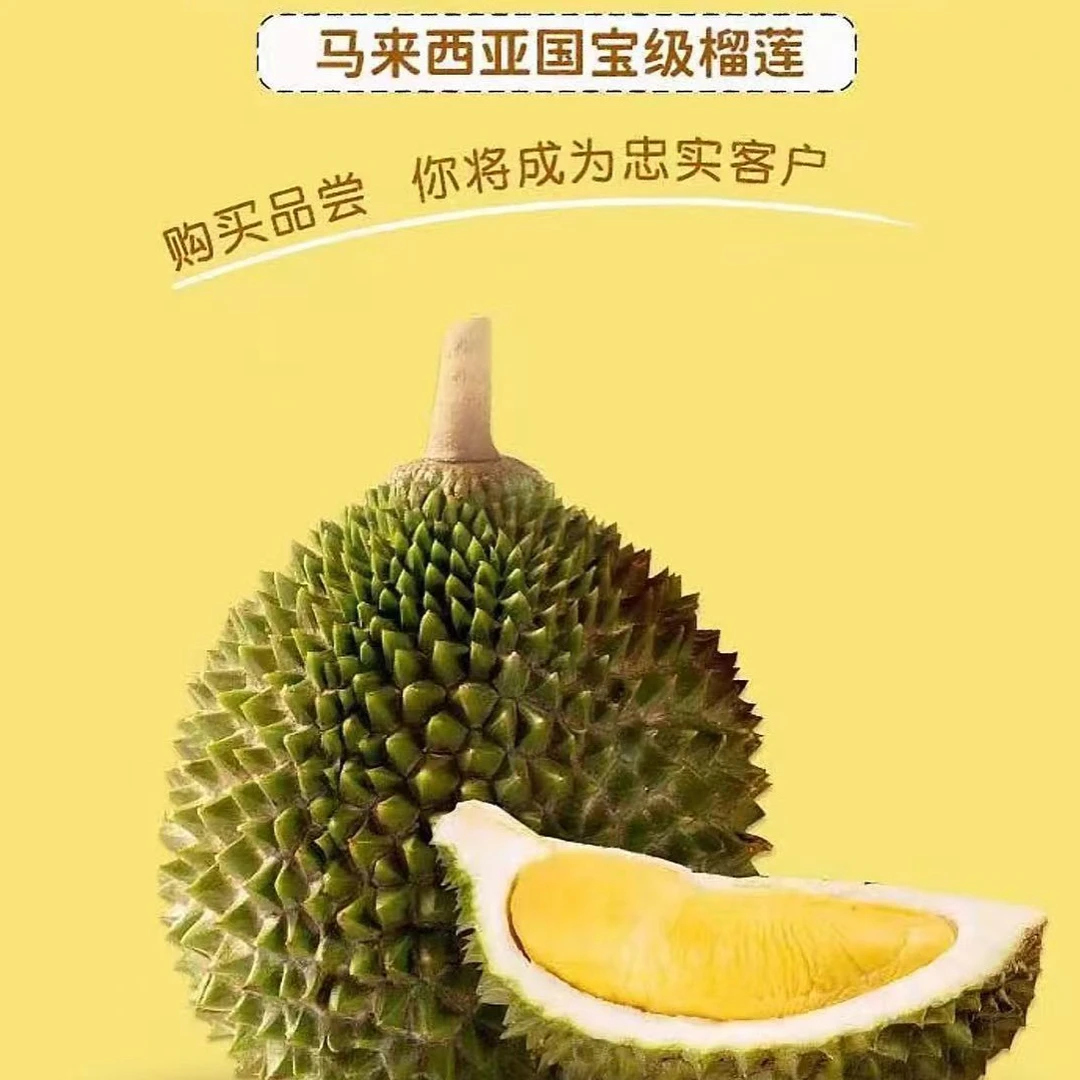 马来西亚猫山王D197液氮冷冻g核小猫山王马来西亚