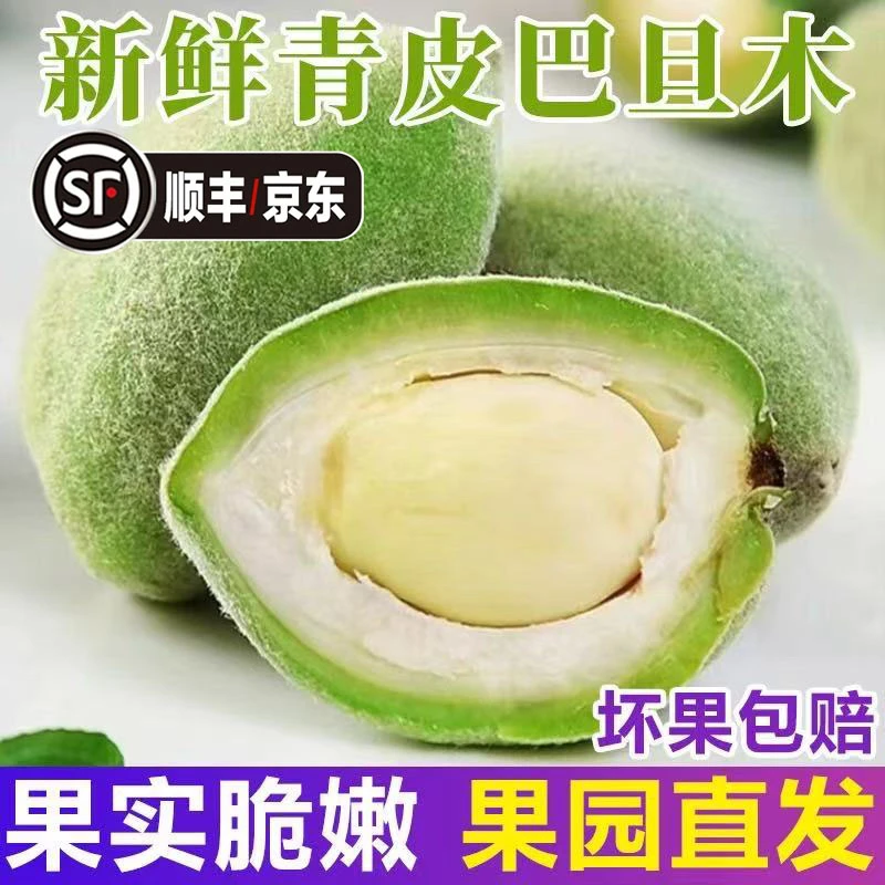 【头茬鲜果】顺丰/京东2025新鲜巴旦木坚果鲜果大杏仁现摘现发ZB