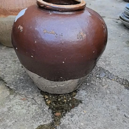 罐一物一拍默认微瑕老陶罐