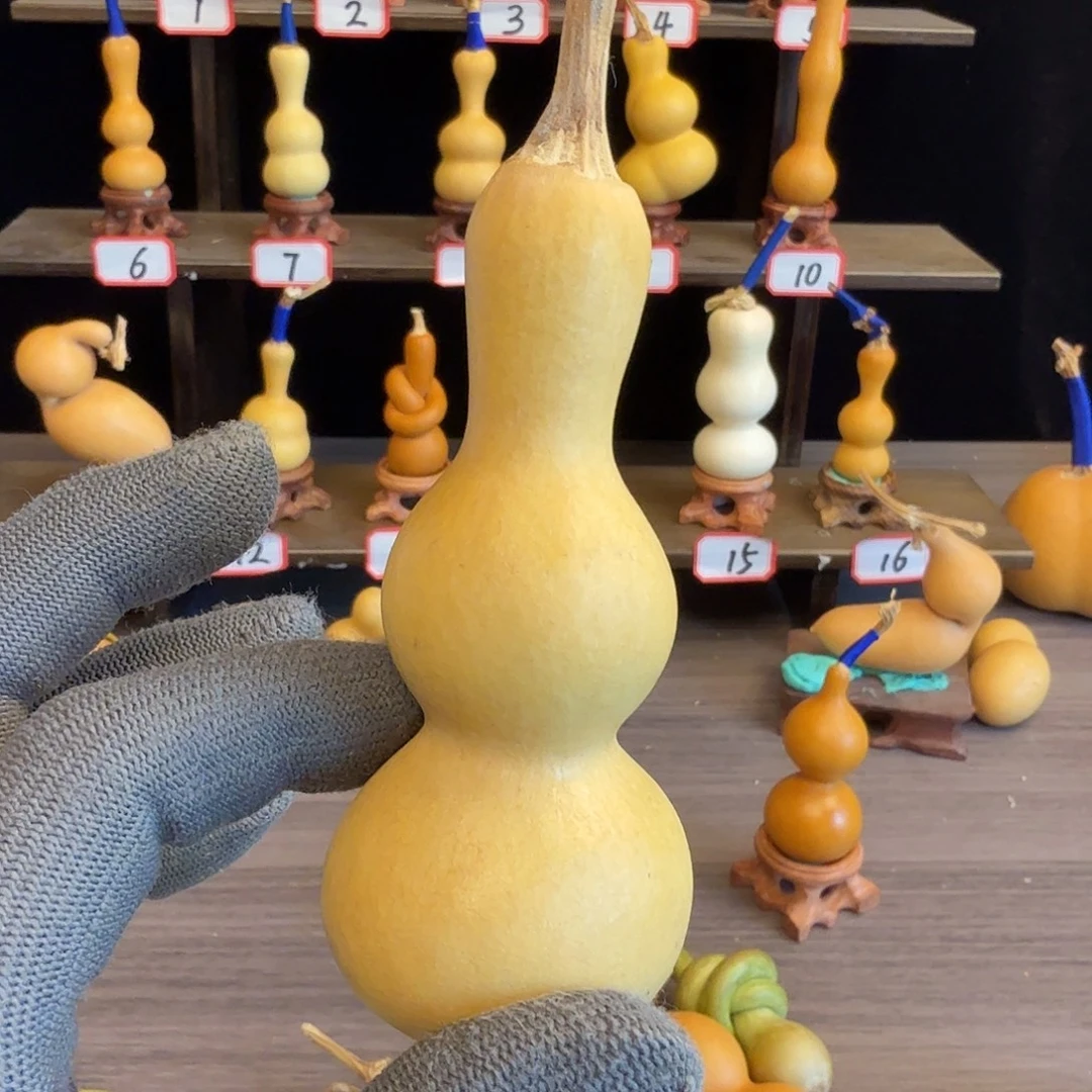 不***龟木这个时候应该可以