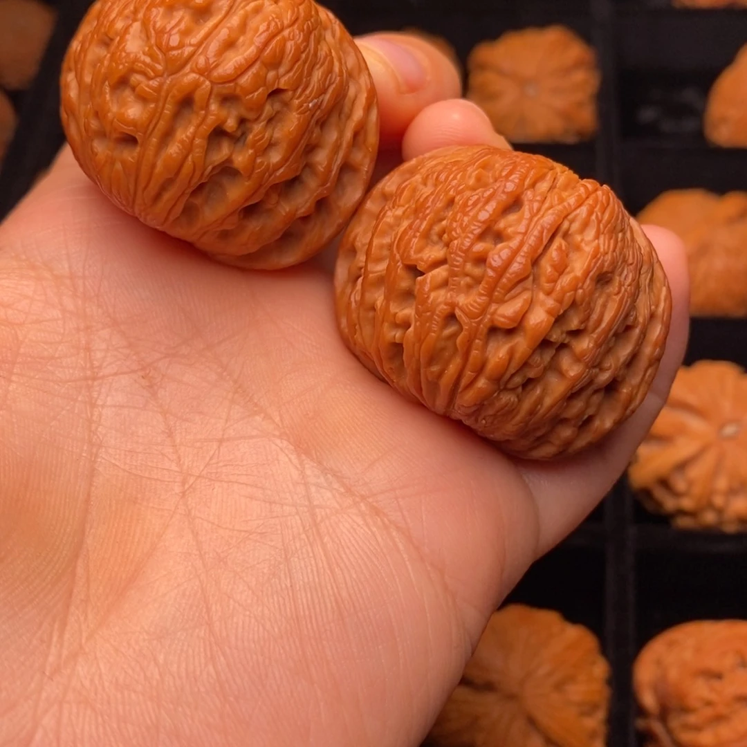 文玩核桃把件秦岭野生核桃