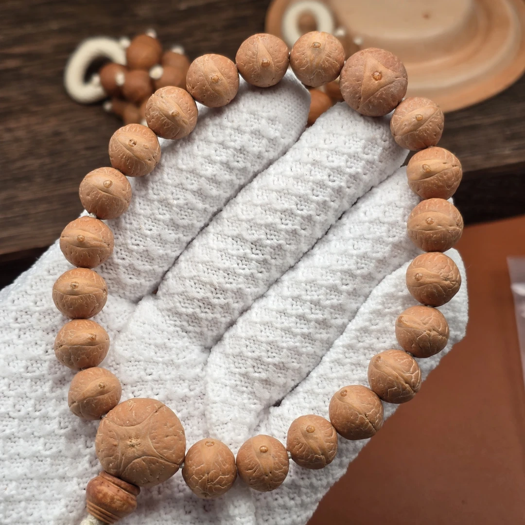 尼泊尔凤眼菩提-实心籽-12尺寸高油铁籽单圈-货号x16