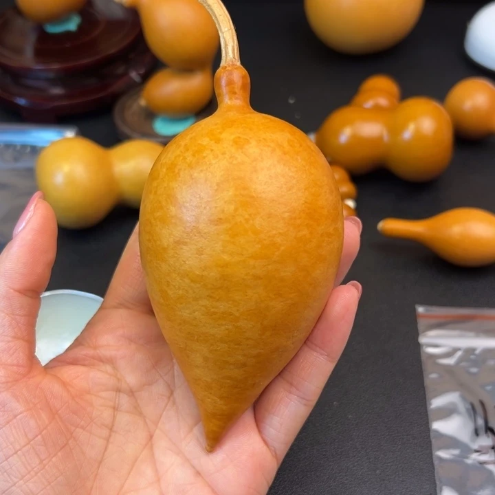 坚*葫芦葫芦葫芦葫芦葫芦葫芦