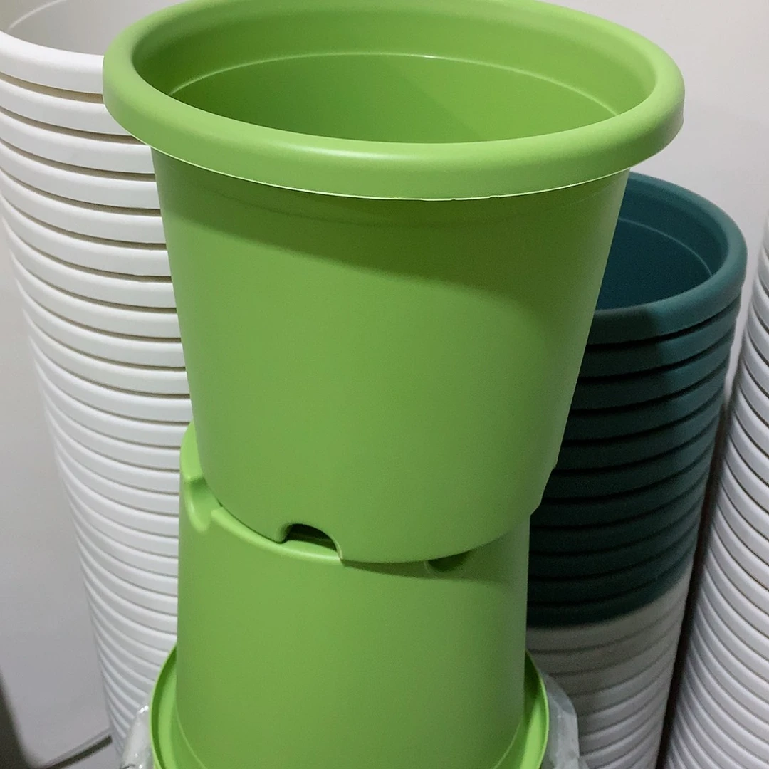 树脂四季口25果绿10个无托