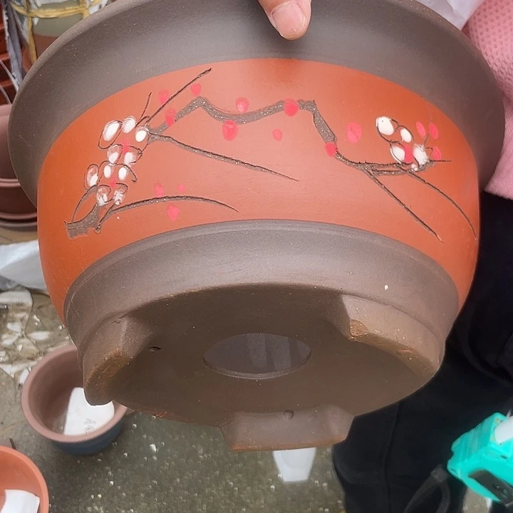 红富贵点彩大话话话话