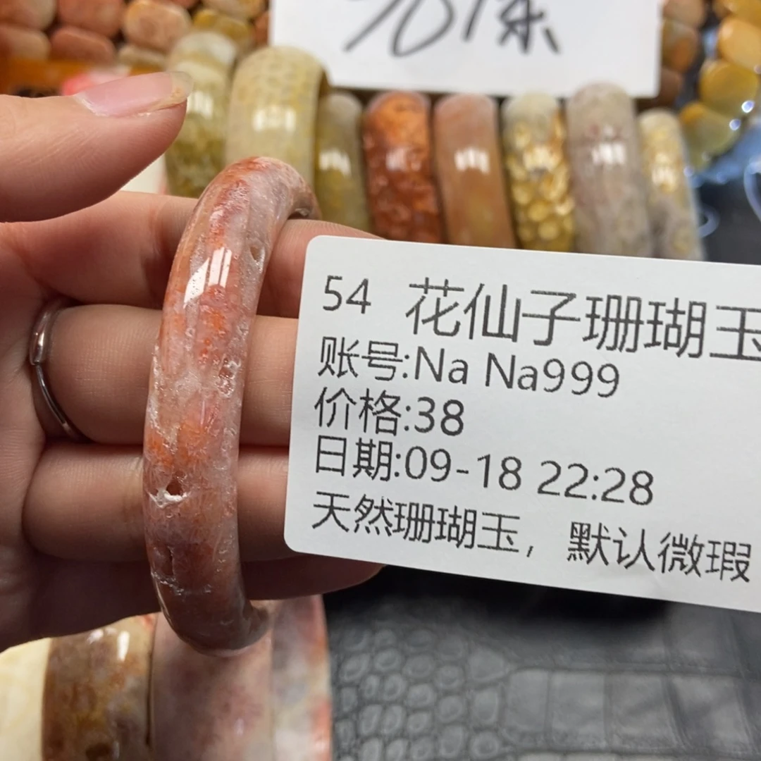 N***9未镶嵌硅化珊瑚（珊瑚玉）珠宝半成品54