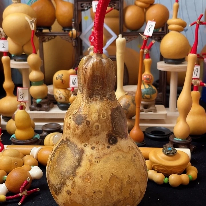 A***＇葫芦丝和我说话真的超级喜欢