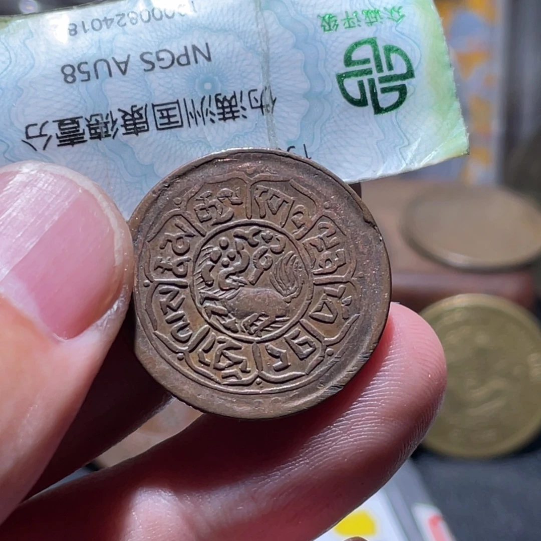 铜通古博今251220范范04