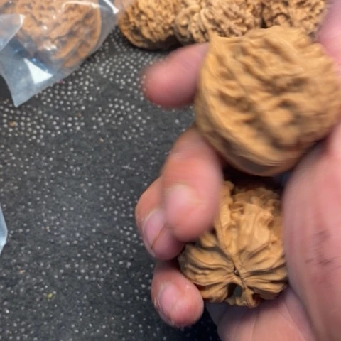 文玩核桃把件赤龙15