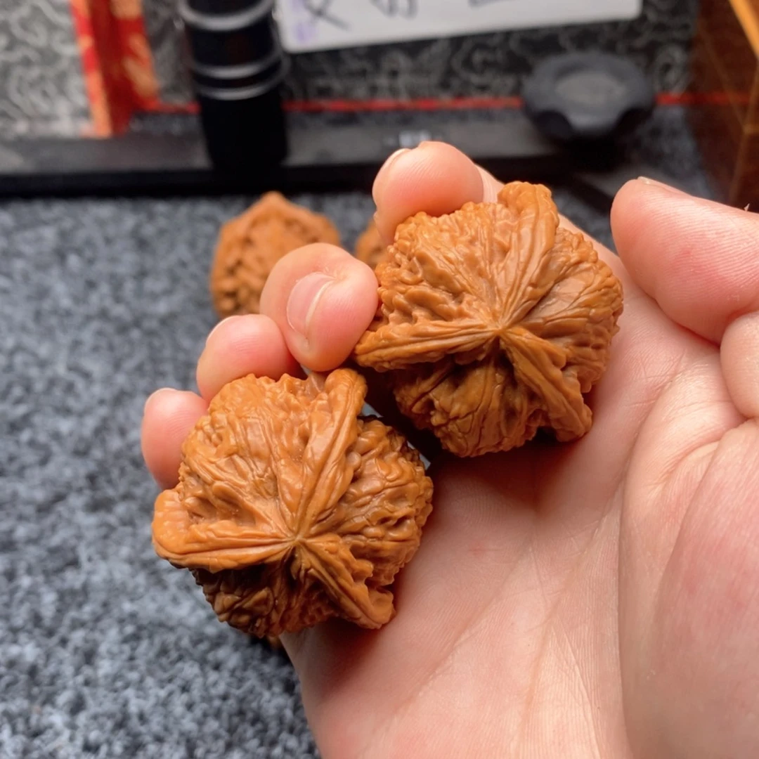 【闪购商品】半**生白狮子