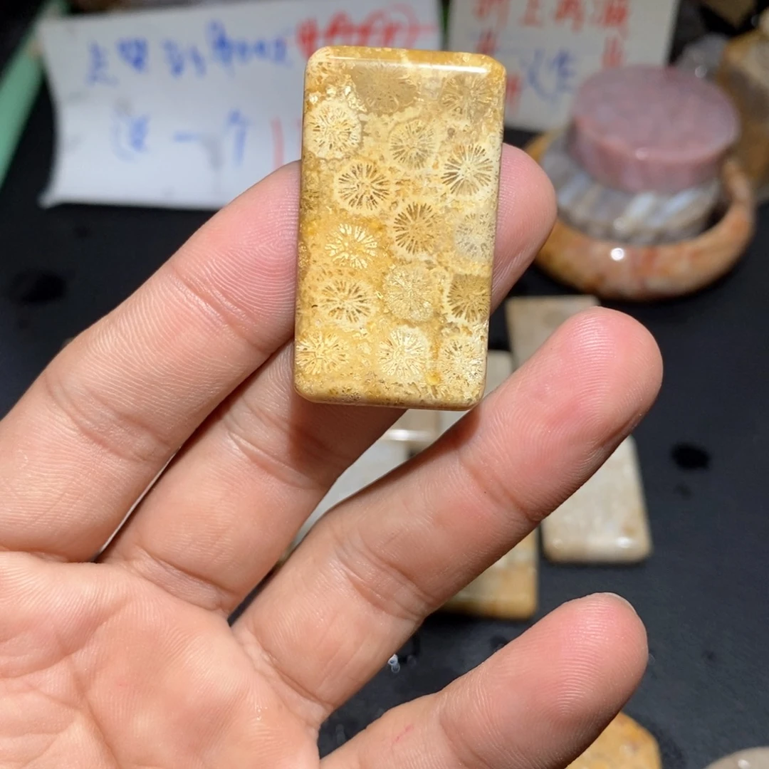 【闪购商品】硅化玉颈饰足银镀金镶嵌