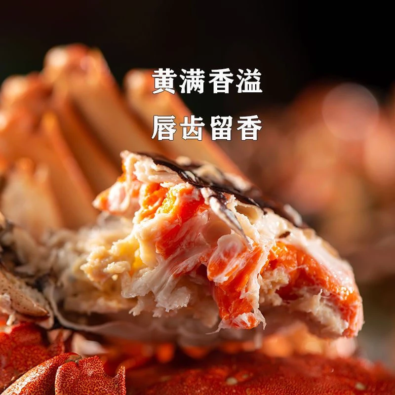 【活蟹】精品江苏大闸蟹 全公蟹5两 6/8只