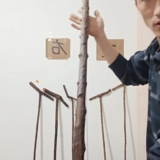 精品原木直播精品