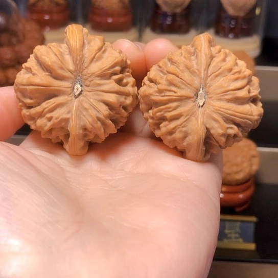 蓝*颜精品：正版和尚头