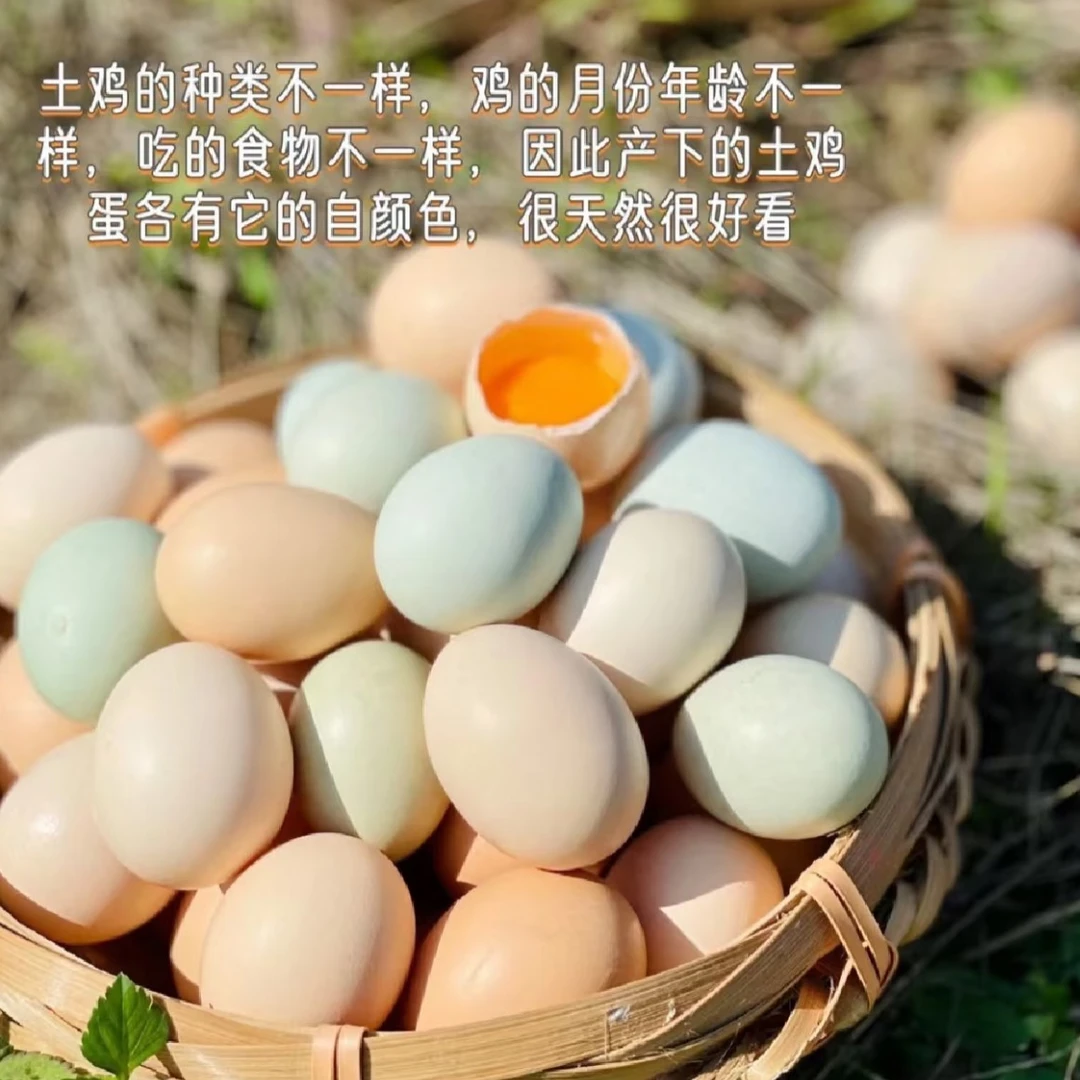 【嘉美甄选】梁平农家散养粉白绿壳土鸡蛋