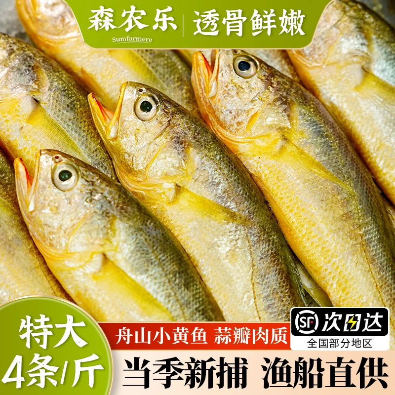 小黄鱼新鲜舟山海鲜深海小黄花鱼海捕生鲜冷冻鲜活烧烤新鲜正宗