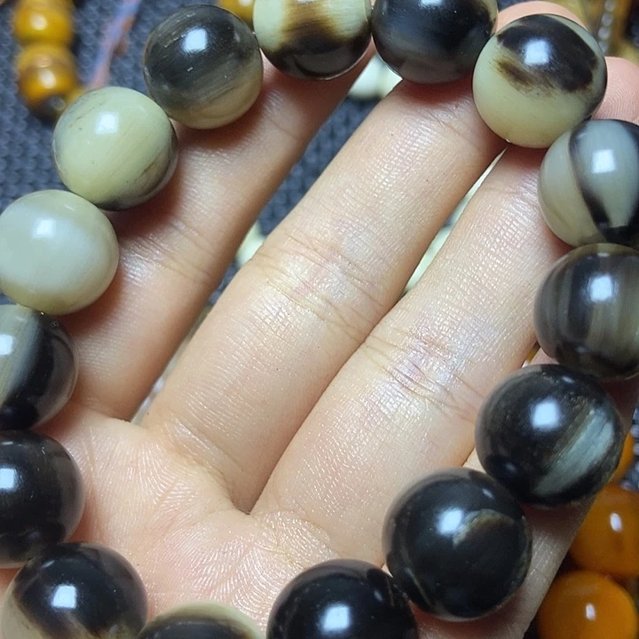 其他驼骨其他配饰