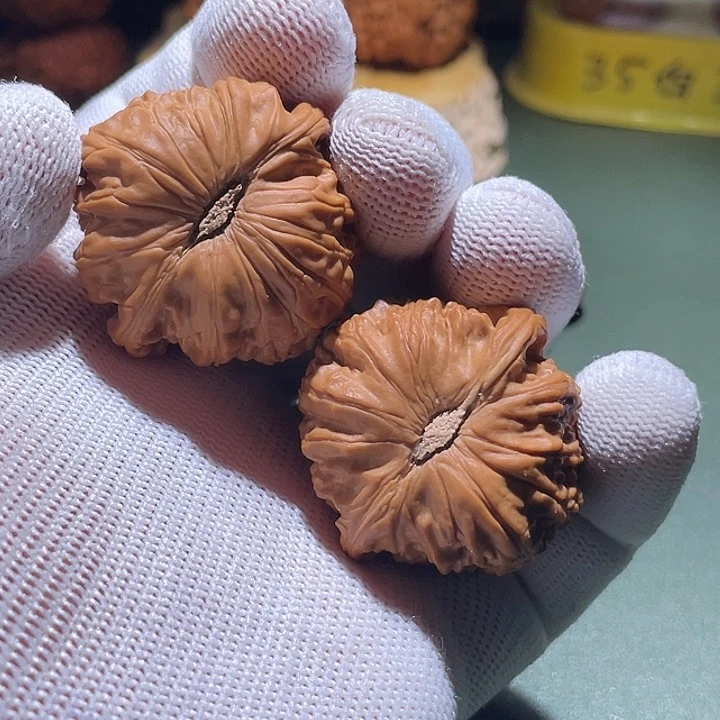 核桃把件松*38物全品南瓜底白狮子