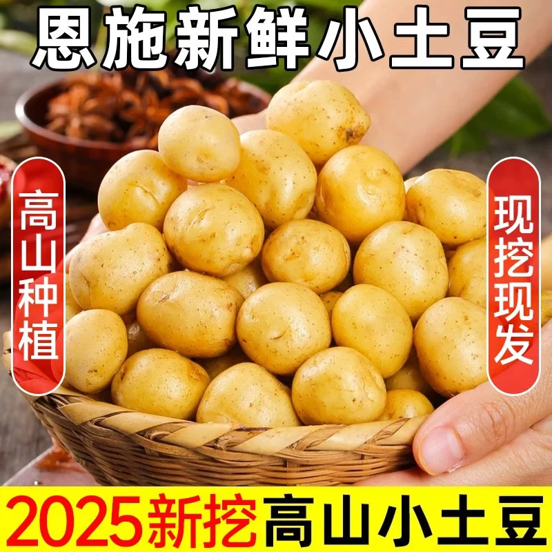 【助农产品】9/5/3斤恩施土豆新鲜粉面网红土豆特色蔬菜