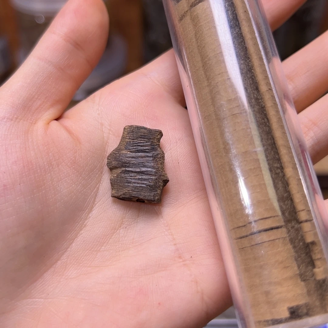 海南大山沉水老料0.8克