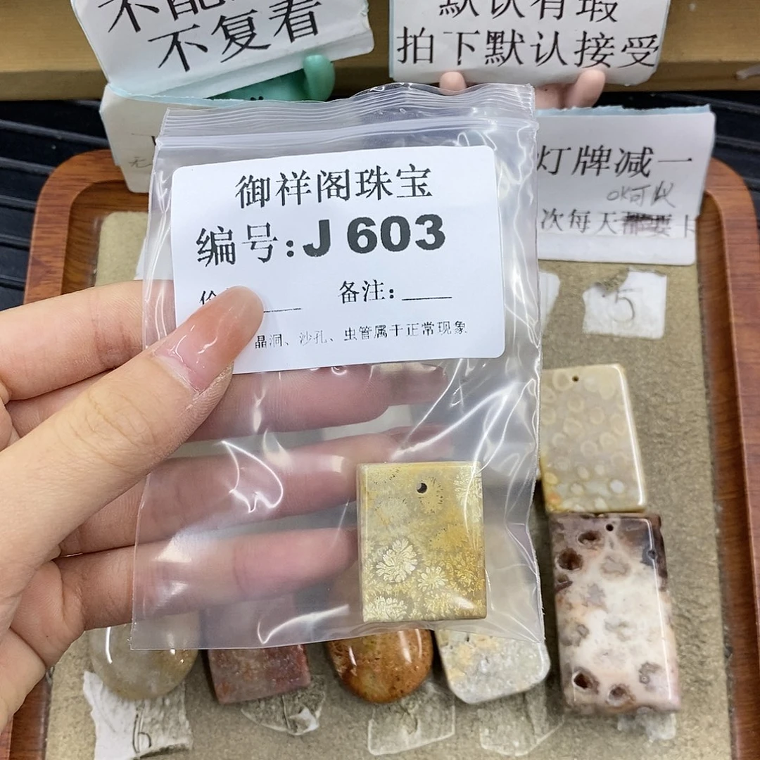 硅化珊瑚（珊瑚玉）未镶嵌颈饰腿***九