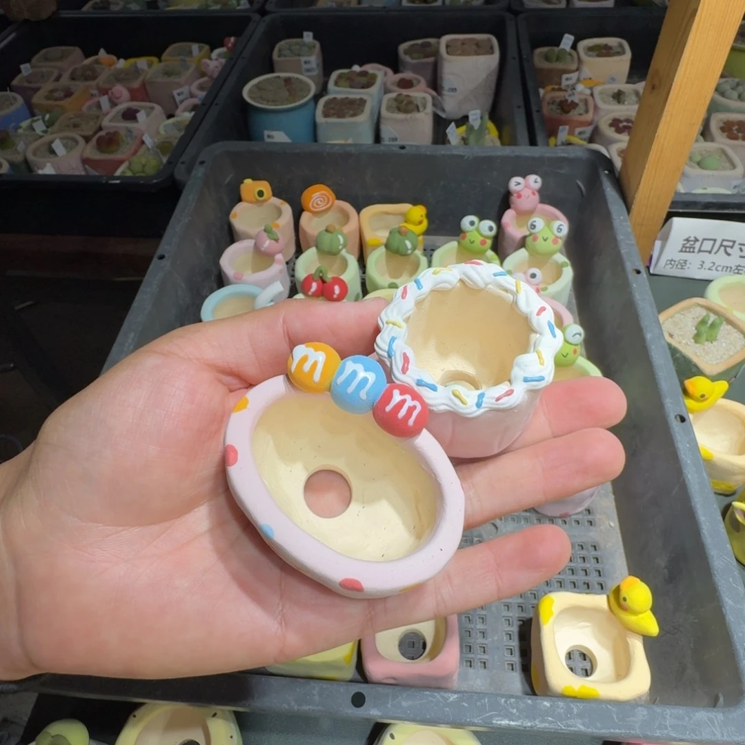 火*星蘑菇300花盆花盆