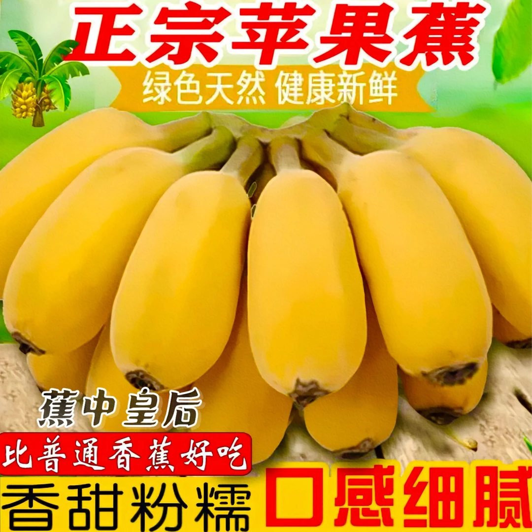 云南特产苹果蕉自然成熟新鲜采摘小胖蕉水果饱满香甜软糯自然催熟