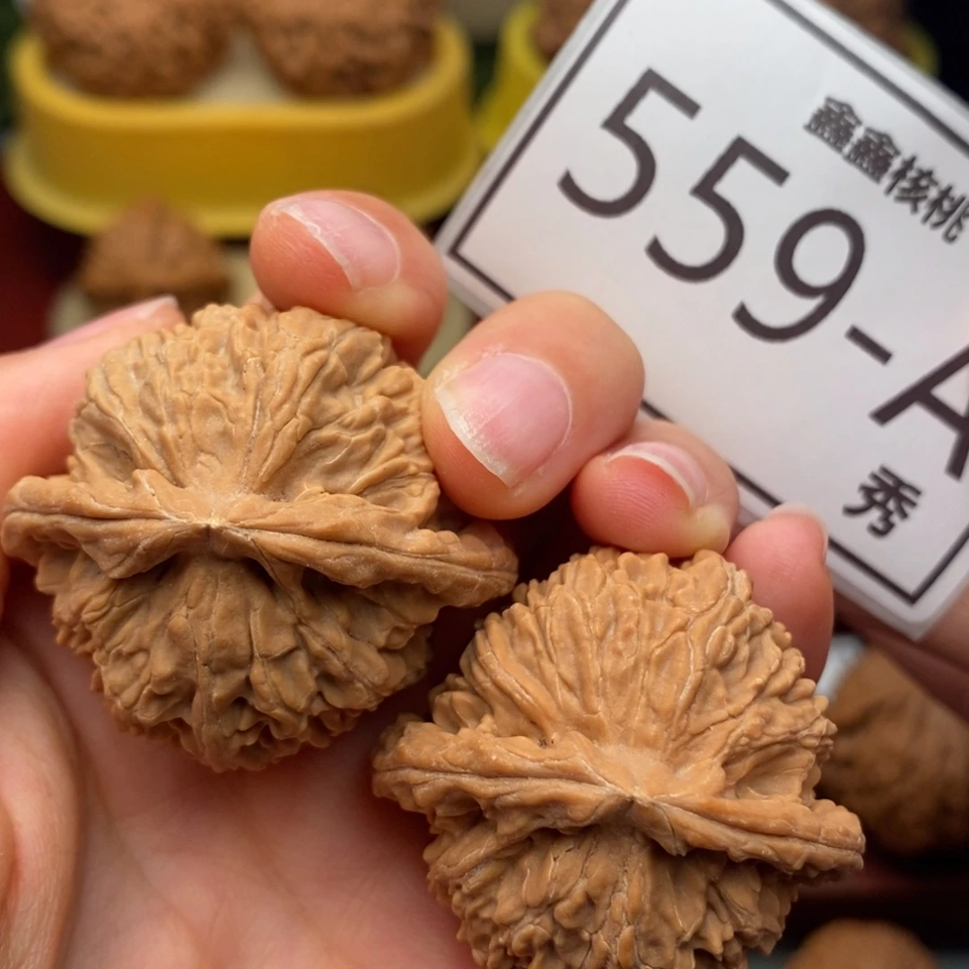 文玩核桃把件白狮子40……