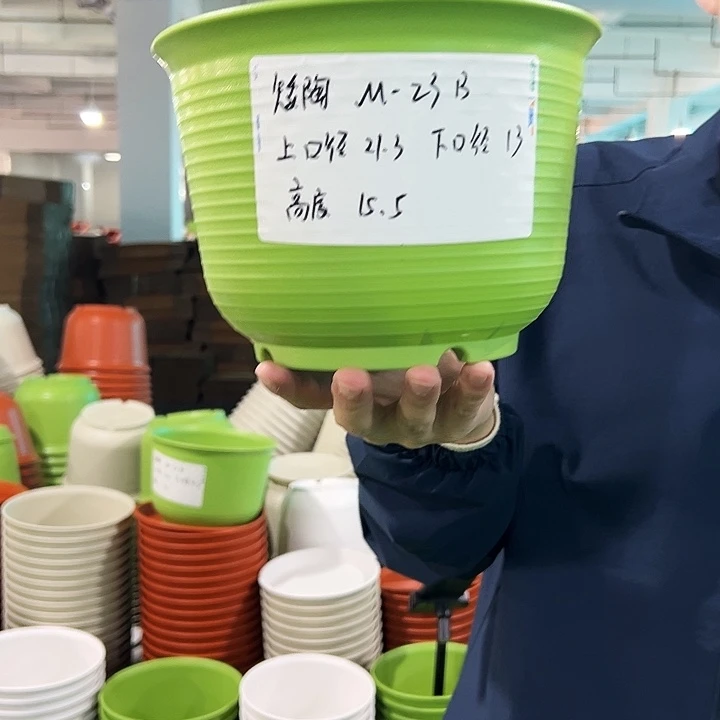 正品矮陶口21高15果绿无托8只