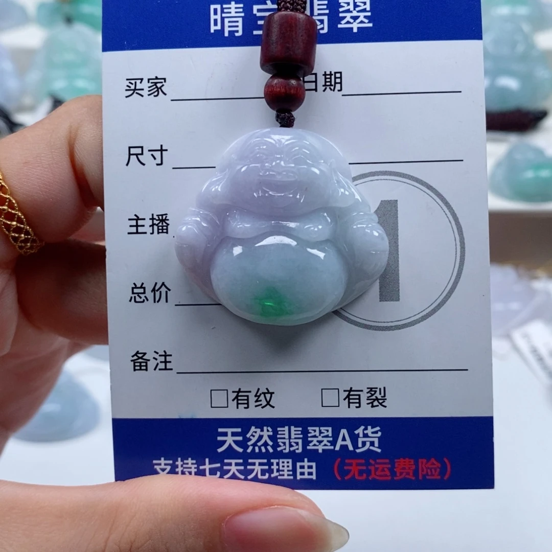 余***就翡翠未镶嵌颈饰天然翡翠
