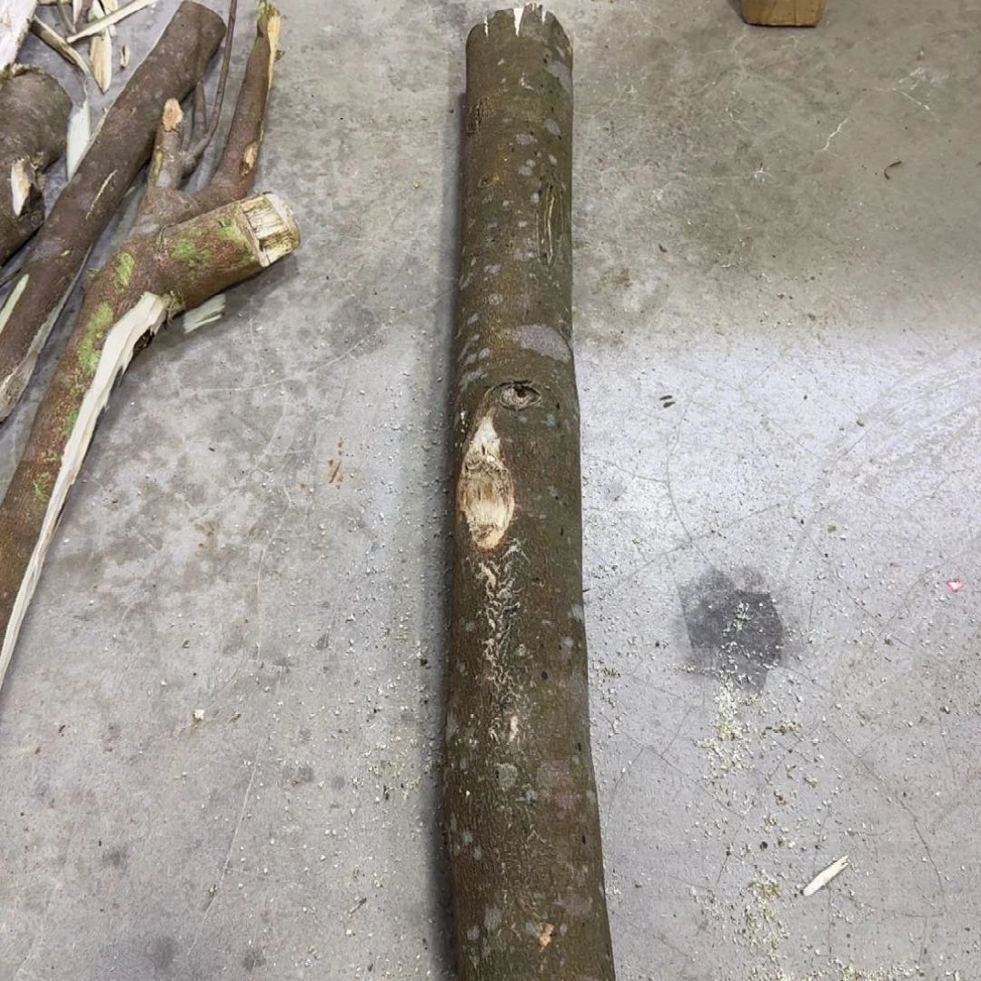 多***水沉香红旗原木段发一份