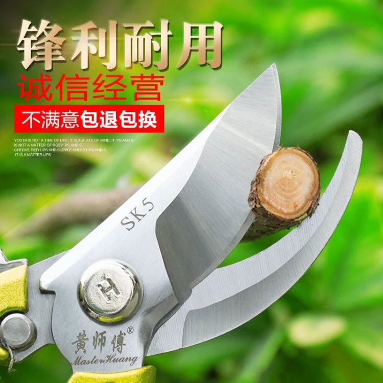 黄师傅剪树枝专用剪子剪枝果树强力修枝剪刀园艺修剪树枝花艺剪刀