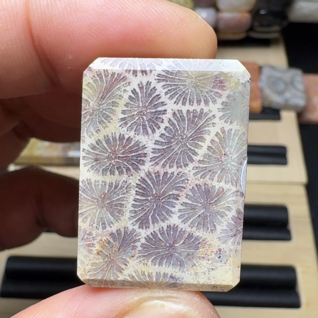 硅化玉未镶嵌纯天然色有机玉石保真色