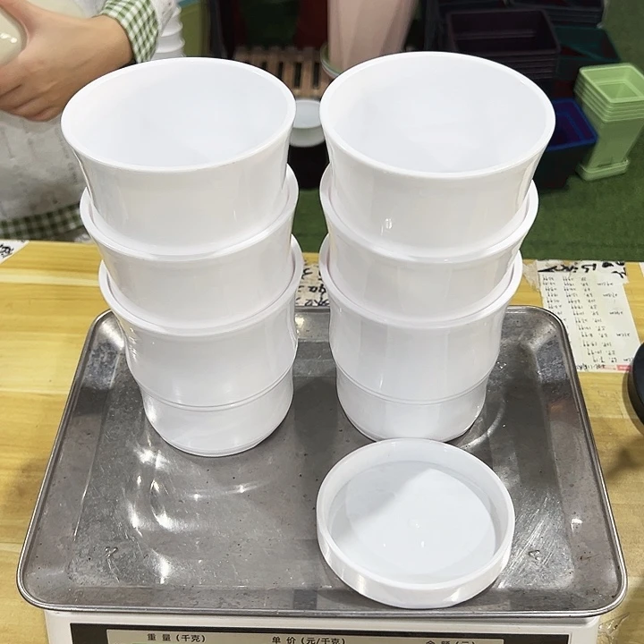特价竹节口11高12白色带托6只