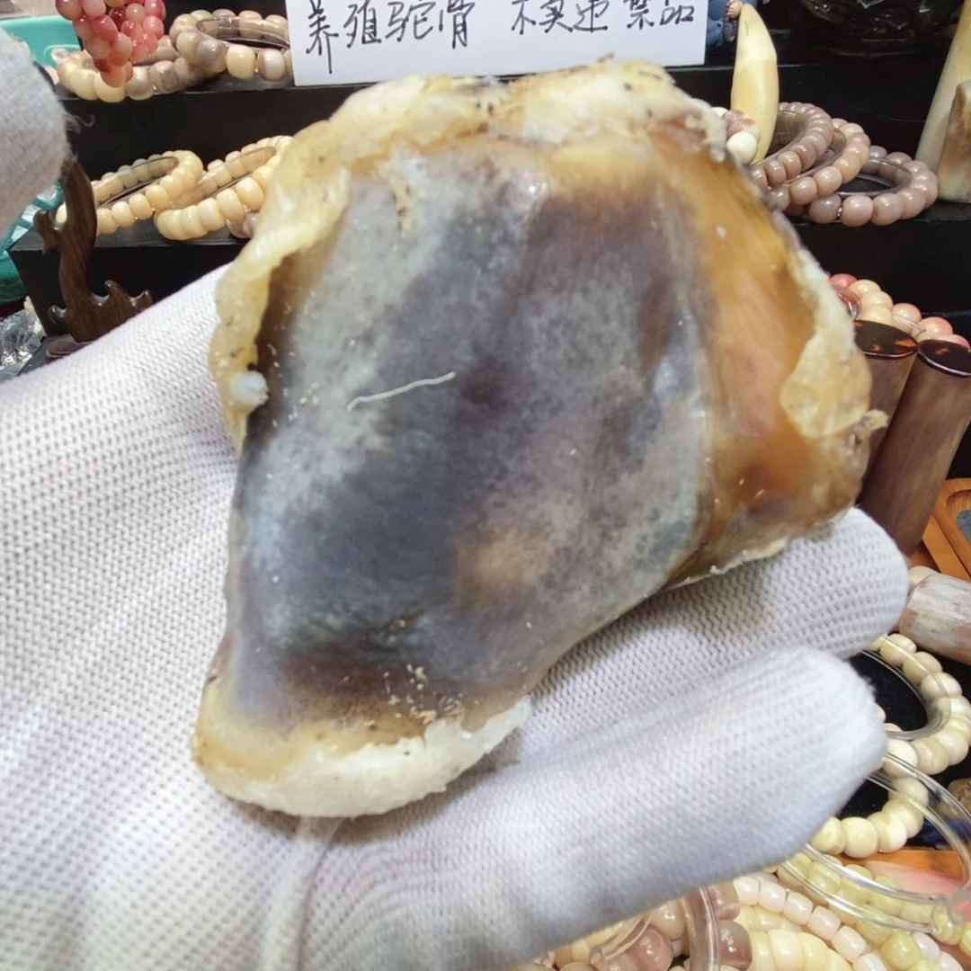 驼骨手串/手链并骨