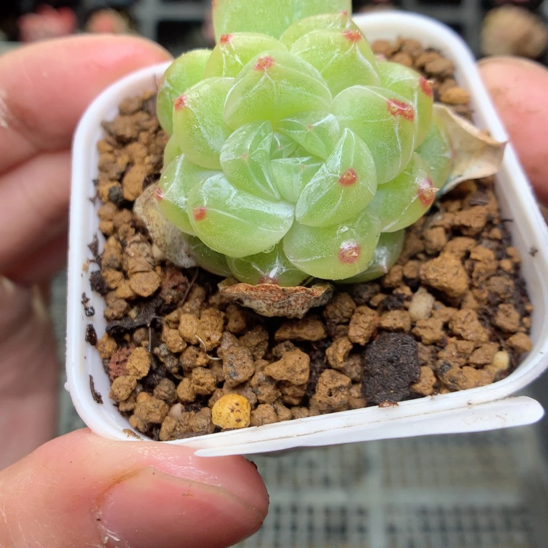 T167y y y y y y y y y y