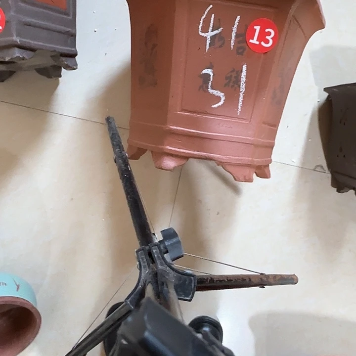 紫砂花拍破损包赔