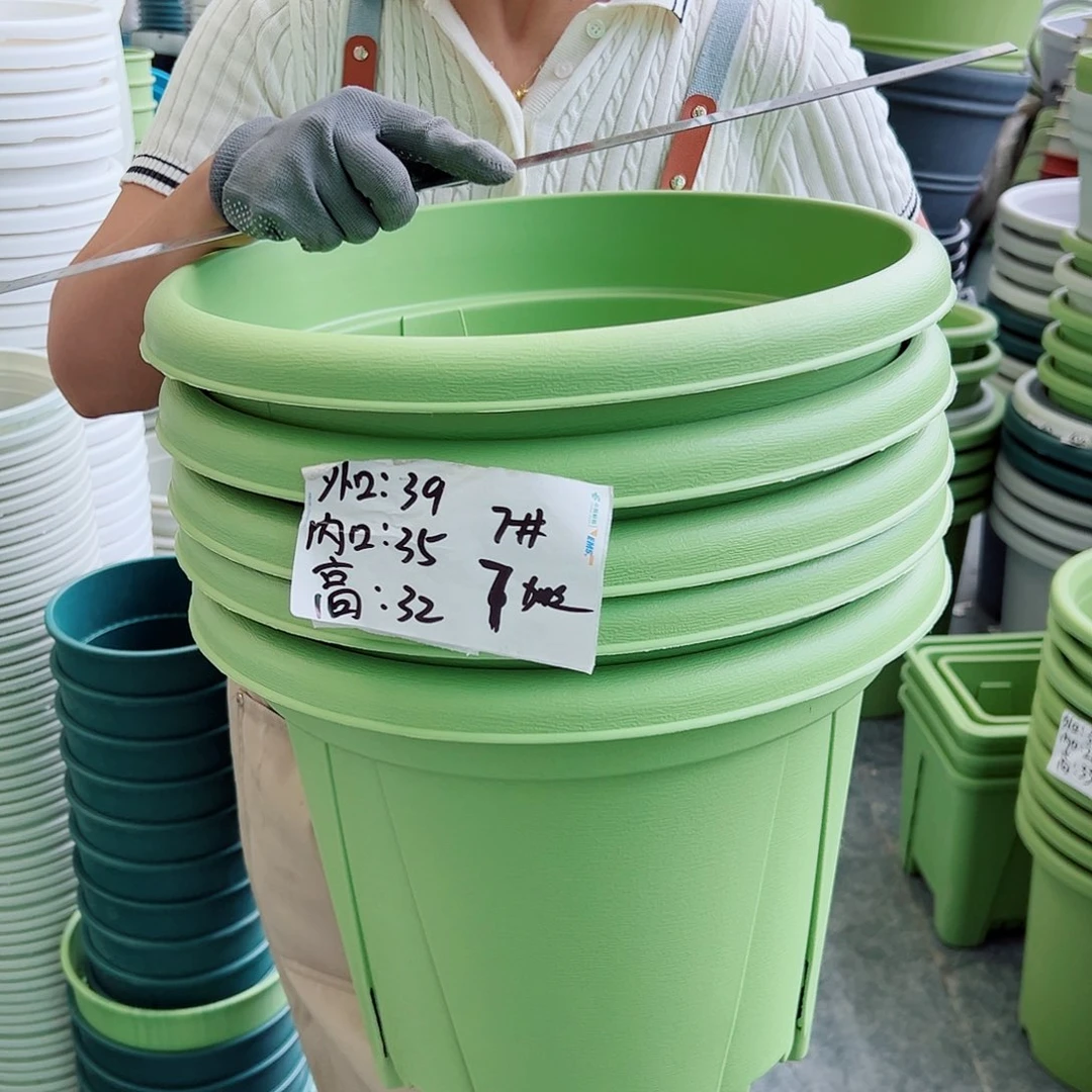 瑕疵青山盆7#果绿色5个无托