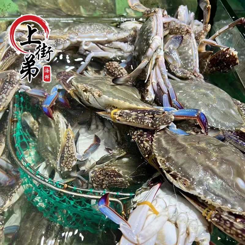 【母梭子蟹】【保鲜不保活】上街弟海鲜梭子蟹正蟹2-3两/只 3/5斤