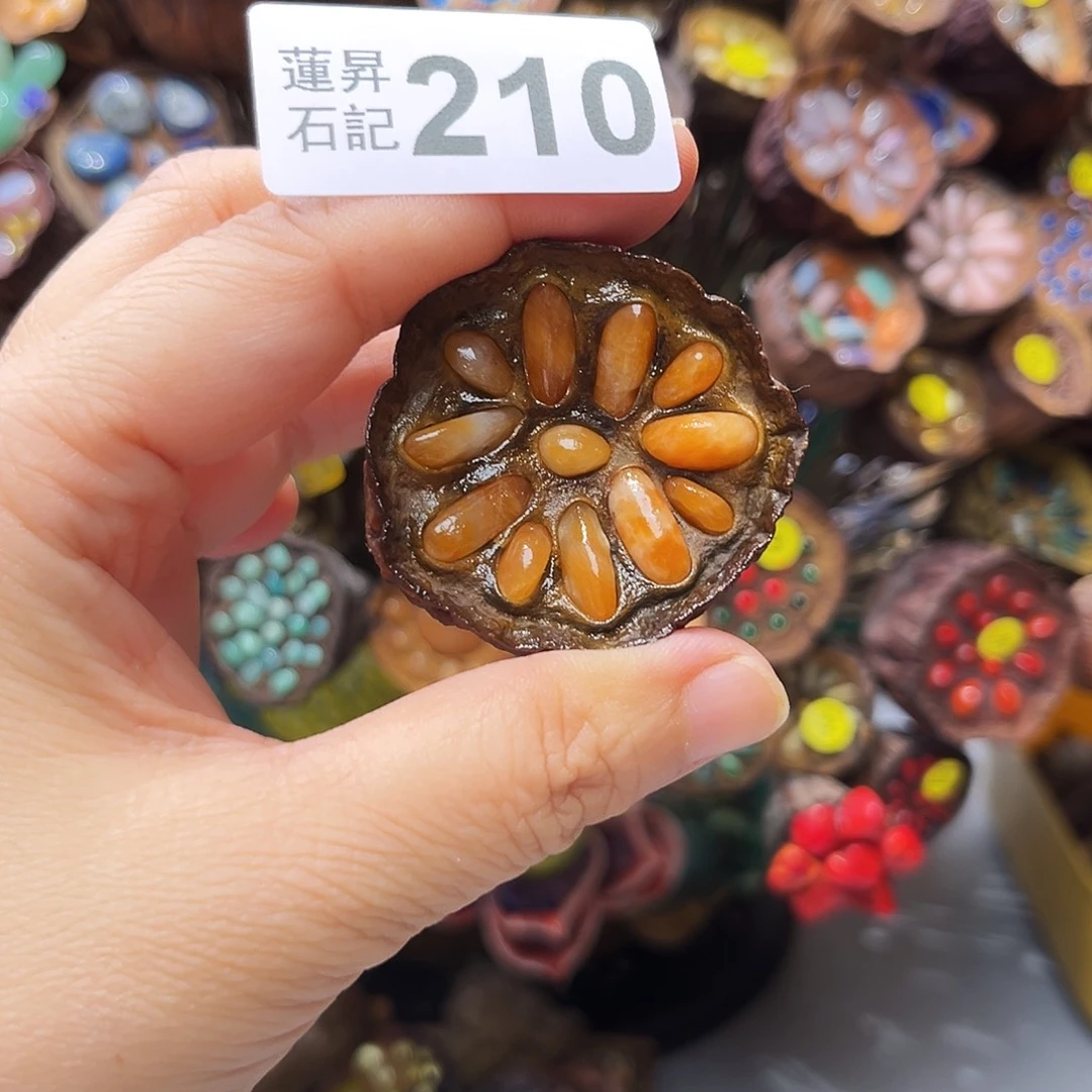 秋***筠核桃木/黑胡桃（胡桃木）210