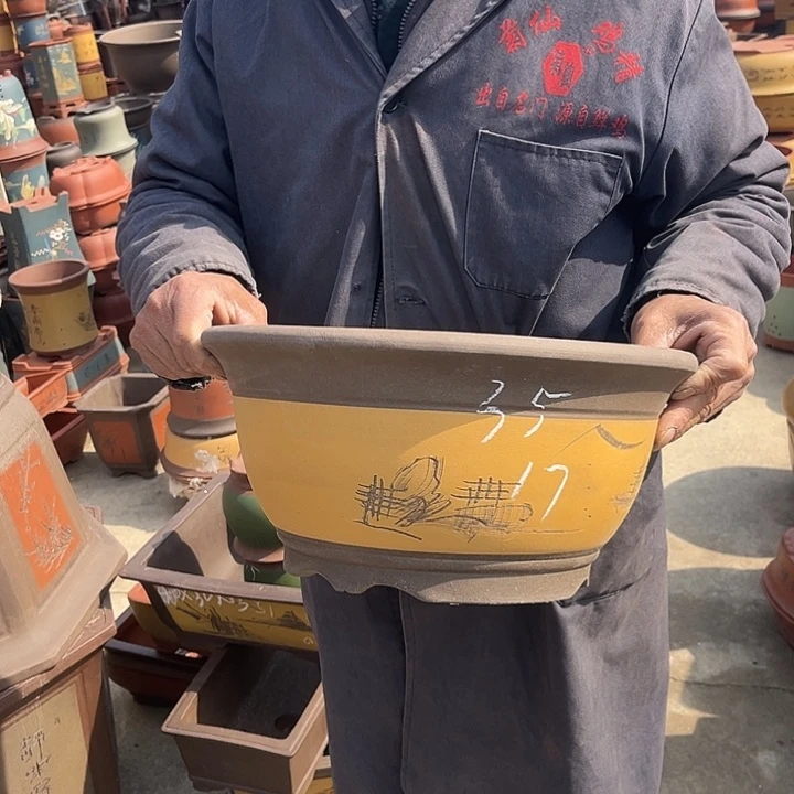 紫砂紫砂花盆和一条