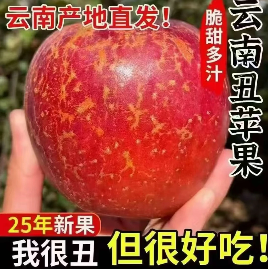 云南昭通丑苹果新鲜水果整箱当季富士糖心苹果整箱包邮产地直发