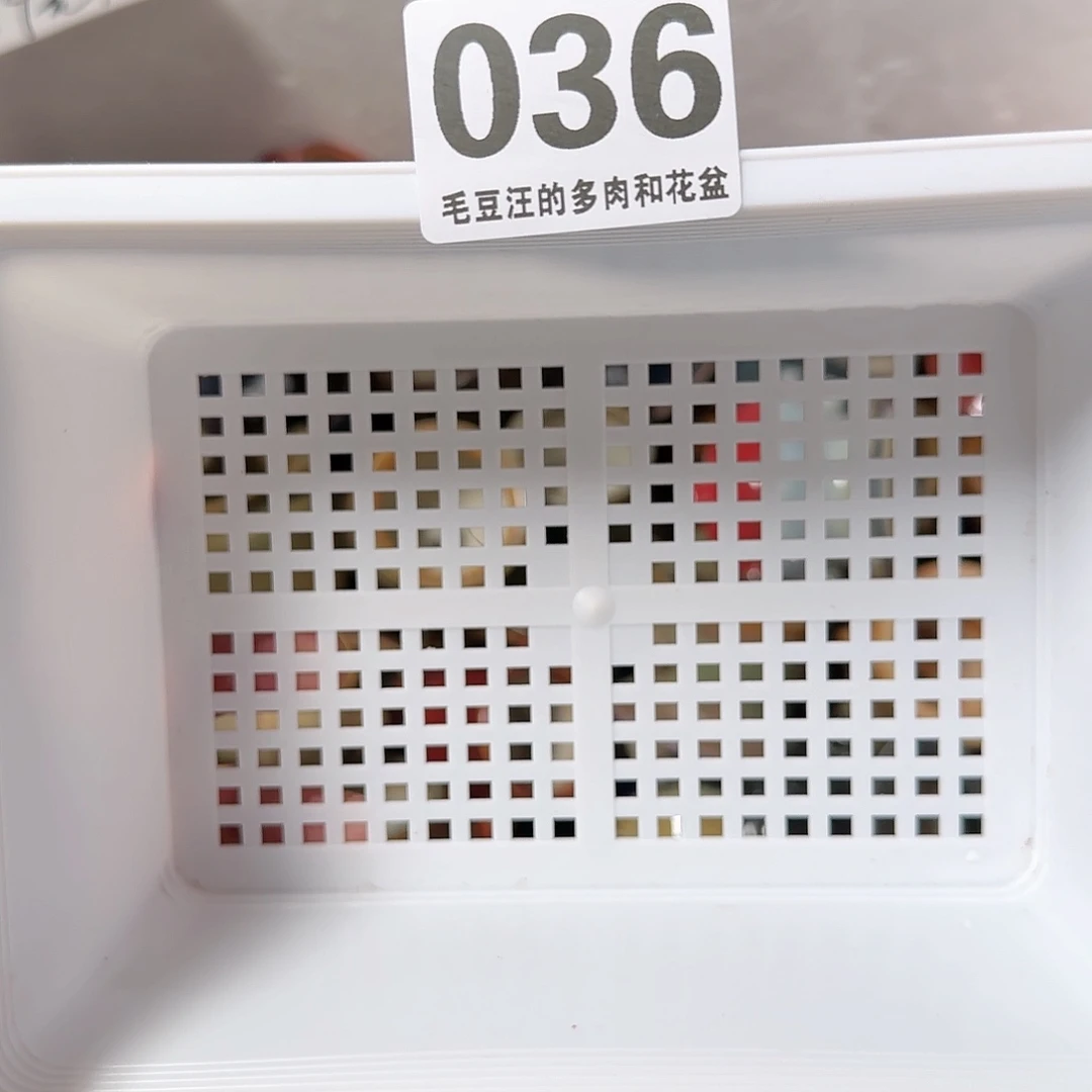 036 瑕疵特惠 随机发 不退不换