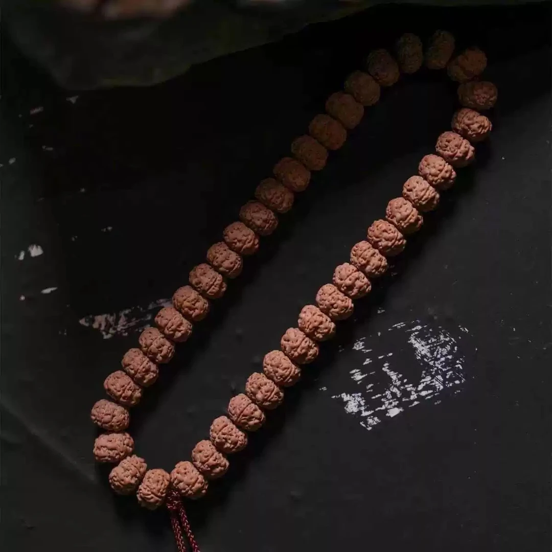 碟中碟天价老树王小金刚手持