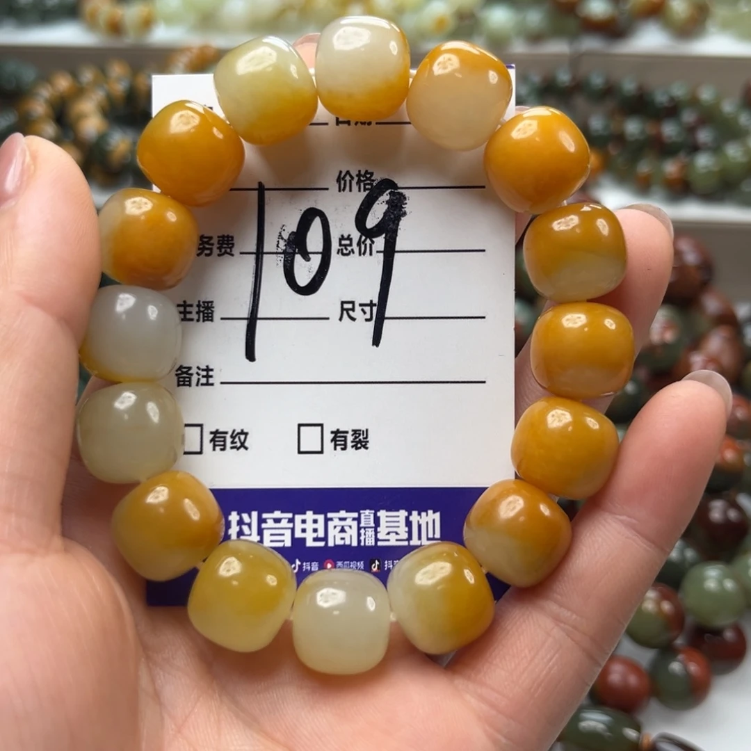 刘***浩手链未镶嵌透闪石质玉