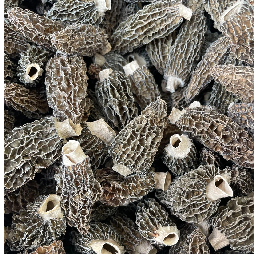 羊肚菌云南新头茬厚肉去脚羊肚菌炖汤