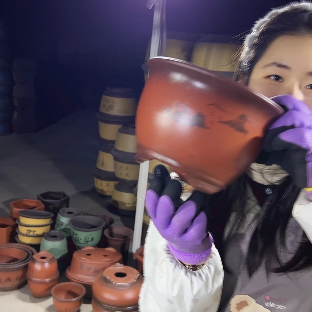 16紫气东来花盆花盆花盆